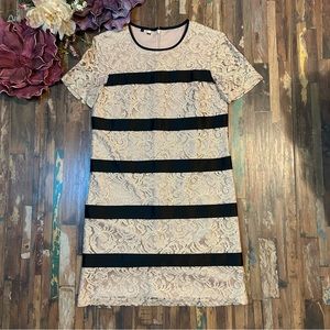 NWT Short Sleeve Lace Striped Shift Dress 0